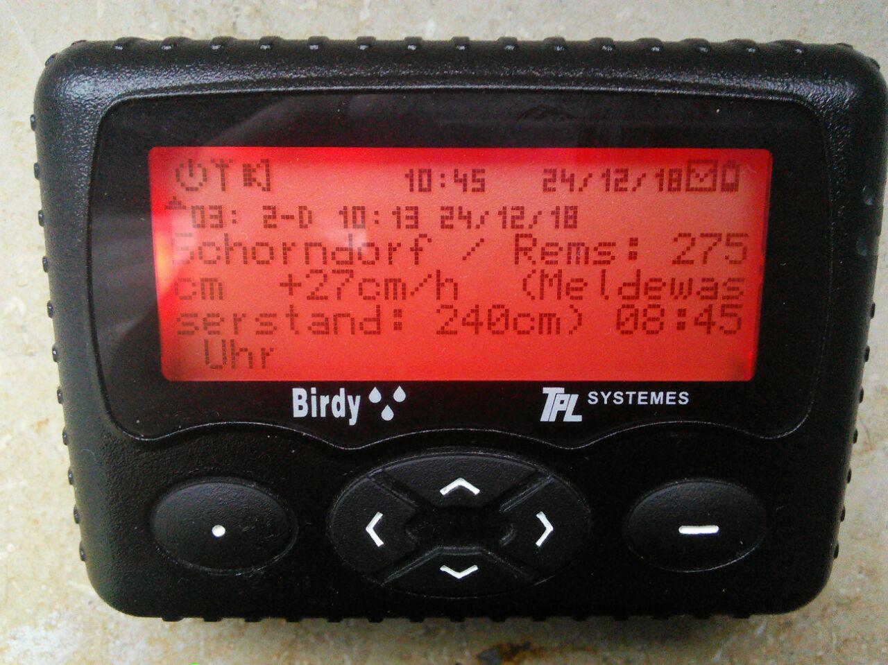 tplbirdy-dl8ma.jpg tplbirdy-dl8ma.jpg